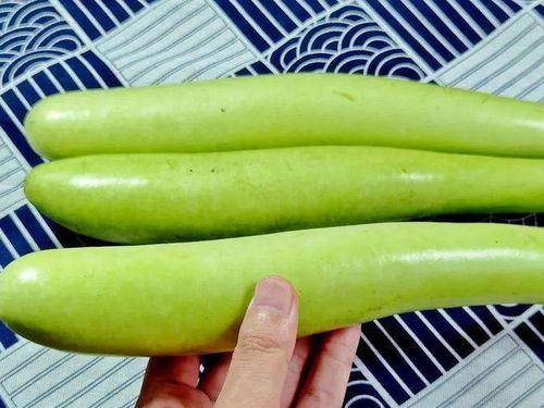 朝堂吃瓜9,揭秘九大宫廷秘闻背后的权力博弈