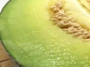 饭后吃瓜,消暑解腻，夏日生活新选择