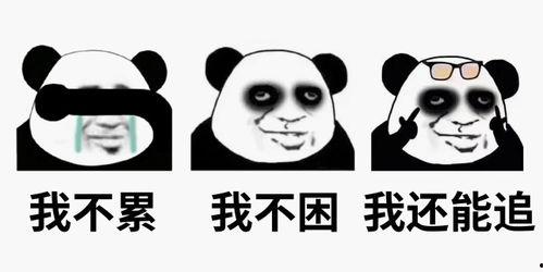 吃瓜睡不醒,揭秘娱乐圈的悠闲生活