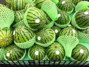 江苏旅游吃瓜,品味瓜果飘香，畅游水乡风情