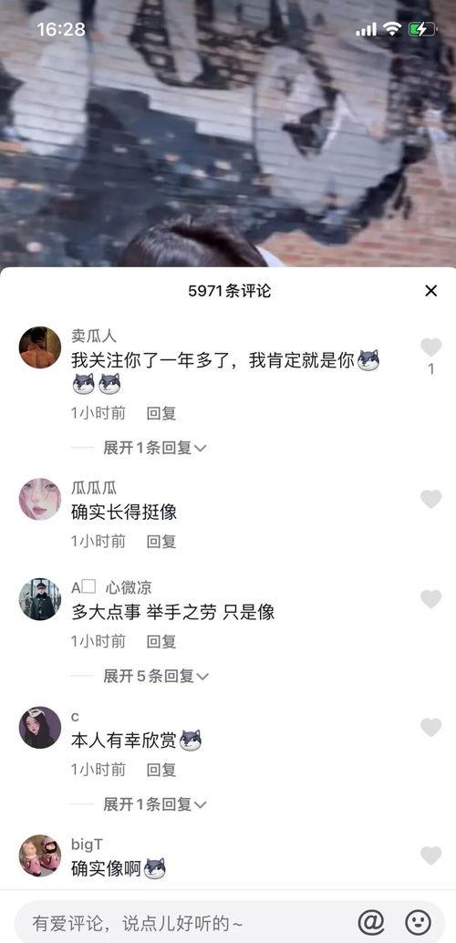 吃瓜软件聂小雨瓜,揭秘吃瓜软件背后的娱乐风云