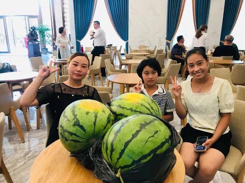 梦海吃瓜场面,一场别开生面的吃瓜狂欢