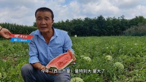 瓜农期盼吃瓜群众,期待吃瓜群众共享丰收喜悦