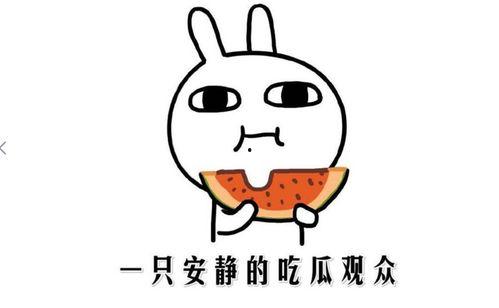 吃瓜的写作手法,揭秘娱乐圈那些不为人知的幕后故事