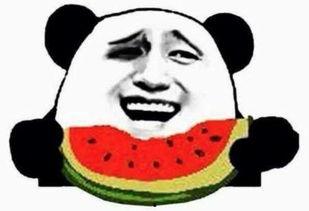 吃瓜群众周某,揭秘娱乐圈幕后风云