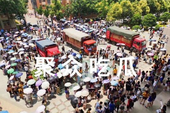 吃瓜科技学院,揭秘校园里的科技与生活趣事