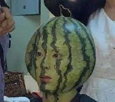 新西兰留学圈吃瓜,揭秘留学生活中的“吃瓜”趣事