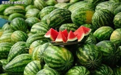 吃瓜到哪吃,探寻“吃瓜到哪吃”的奇妙之旅