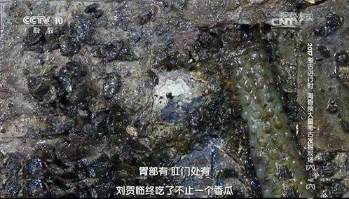 吃瓜考古地,揭秘娱乐圈背后的秘密与真相